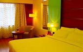 Туры в отель Hotel Sitara