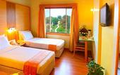 Туры в отель Hotel Sitara