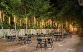 Туры в отель Inventree Hotel, Hinjewadi