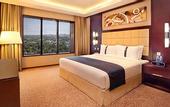 Туры в отель Holiday Inn Cochin by IHG