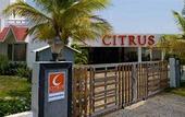 Туры в отель Vedic Village Sriperumbudur (formerly known as Citrus Hotel)