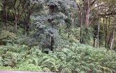 Туры в отель Spice Jungle Resort
