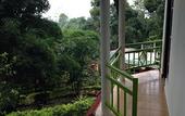 Туры в отель Spice Jungle Resort