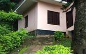 Туры в отель Spice Jungle Resort