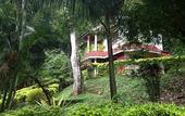Туры в отель Spice Jungle Resort