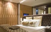 Туры в отель The Toy Hotel