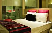 Туры в отель The Toy Hotel