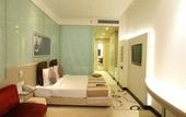 Туры в отель The Toy Hotel
