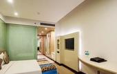 Туры в отель The Toy Hotel