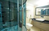 Туры в отель Hotel Rajshree