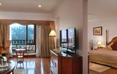 Туры в отель Radisson Hotel Shimla