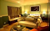 Туры в отель Radisson Hotel Shimla