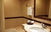 Туры в отель Radisson Hotel Shimla
