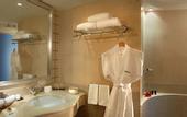 Туры в отель Radisson Hotel Shimla