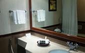Туры в отель Radisson Hotel Shimla