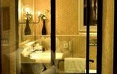 Туры в отель Radisson Hotel Shimla