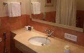 Туры в отель Radisson Hotel Shimla