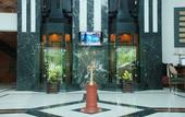 Туры в отель The Maya Hotel