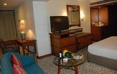 Туры в отель The Maya Hotel