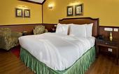 Туры в отель Mayfair Spa Resort & Casino Gangtok