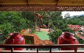Туры в отель Mayfair Spa Resort & Casino Gangtok