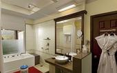Туры в отель Mayfair Spa Resort & Casino Gangtok