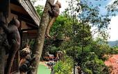 Туры в отель Mayfair Spa Resort & Casino Gangtok