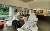 Туры в отель Mayfair Spa Resort & Casino Gangtok