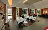Туры в отель Mayfair Spa Resort & Casino Gangtok