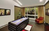 Туры в отель Mayfair Spa Resort & Casino Gangtok
