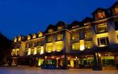 Туры в отель Mastiff Grand Manali