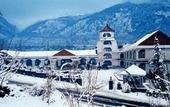 Туры в отель Mastiff Grand Manali
