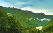 Туры в отель The Grand Shiva Resort & Spa