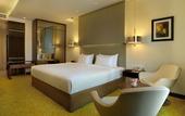 Туры в отель Renaissance Ahmedabad Hotel