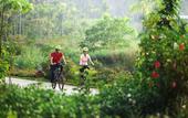 Туры в отель Club Mahindra Virajpet