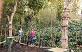Туры в отель Club Mahindra Virajpet