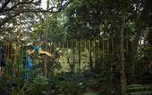 Туры в отель Club Mahindra Virajpet