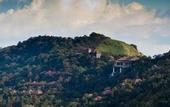 Туры в отель Taj Madikeri Resort & Spa, Coorg
