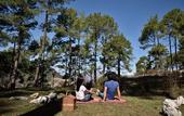 Туры в отель JW Marriott Mussoorie Walnut Grove Resort & Spa