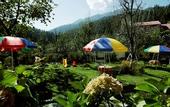 Туры в отель Snow Valley Resorts