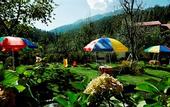Туры в отель Snow Valley Resorts