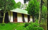 Туры в отель Punarjani Ayurvedic Resorts