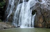 Туры в отель Punarjani Ayurvedic Resorts