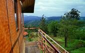Туры в отель Punarjani Ayurvedic Resorts