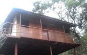Туры в отель Punarjani Ayurvedic Resorts