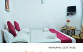 Туры в отель Punarjani Ayurvedic Resorts