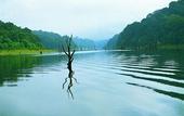 Туры в отель Punarjani Ayurvedic Resorts