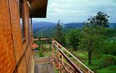Туры в отель Punarjani Ayurvedic Resorts