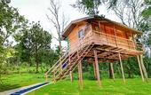 Туры в отель Punarjani Ayurvedic Resorts