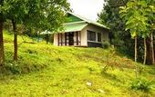 Туры в отель Punarjani Ayurvedic Resorts